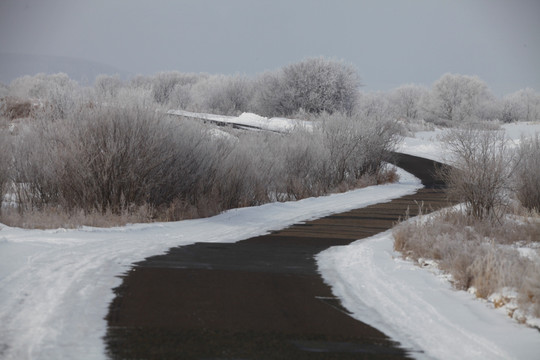 雾淞 冰凌 雪景 东北 灯笼