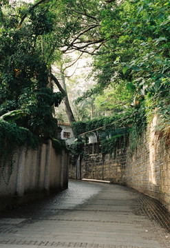 鼓浪屿菲林胶片