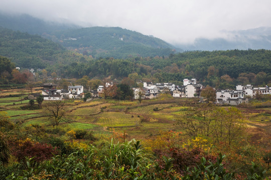 秋日村落田园