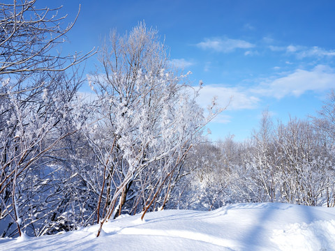 冰雪地带