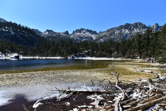 凉山 螺髻山 草海 雪景 湖泊