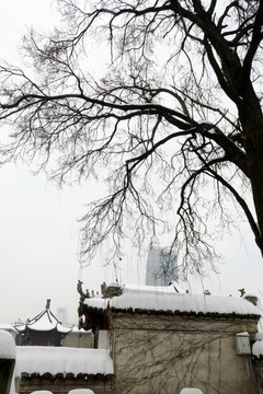 米公祠雪景