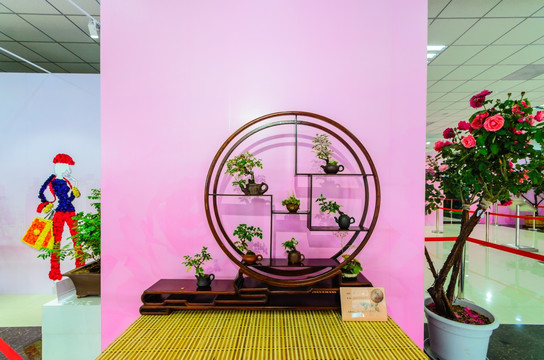 月季展