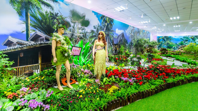 月季展 鲜花海洋