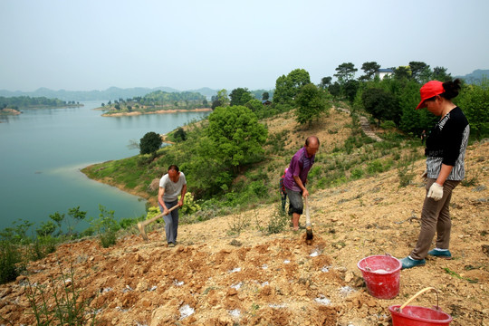 农民种地场景