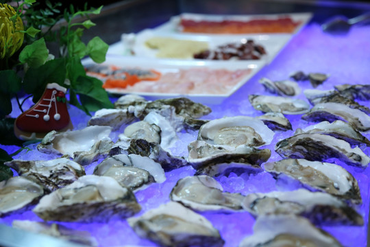 海鲜生蚝特写