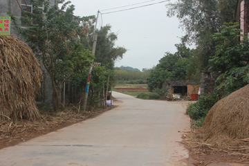 乡村小路