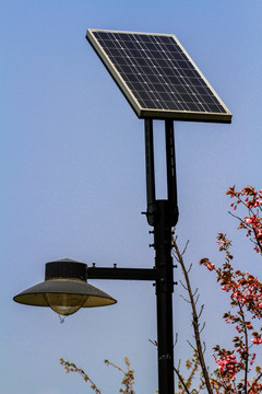 太阳能发电路灯