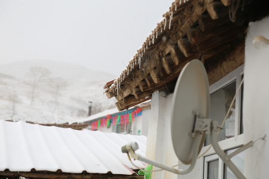 春节雪中的冰柱