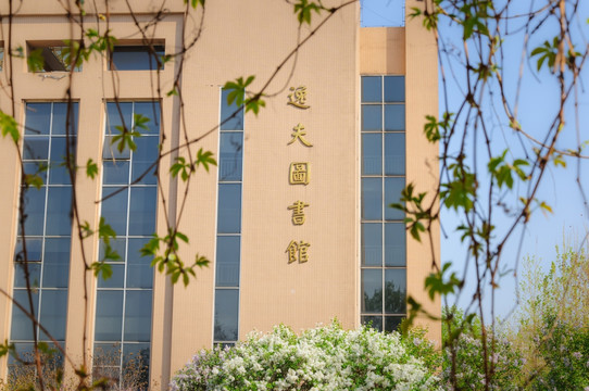 春天 绿叶 嫩绿 建筑