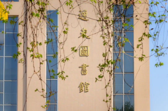 春天 绿叶 嫩绿 建筑