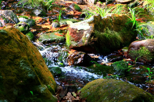 钦州八寨沟风光 山泉