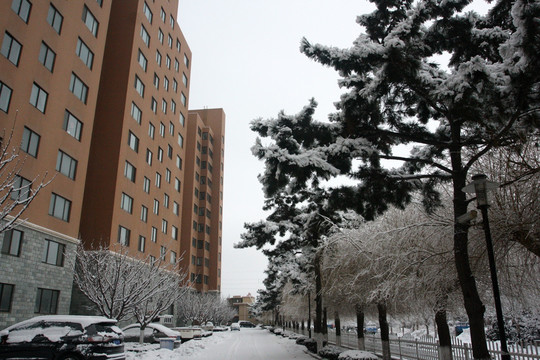 雪景小区
