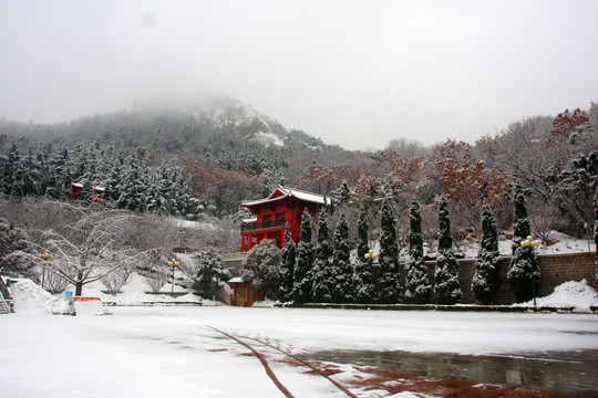 雾漫景区