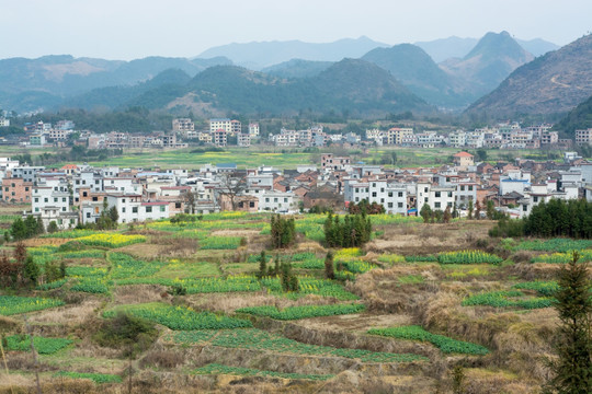 乡村风景