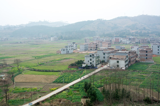 乡村风景