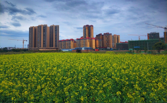 城市春天