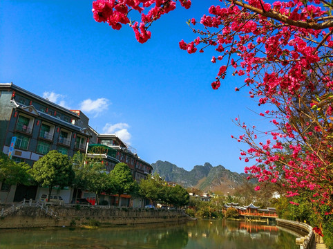 春暖花开