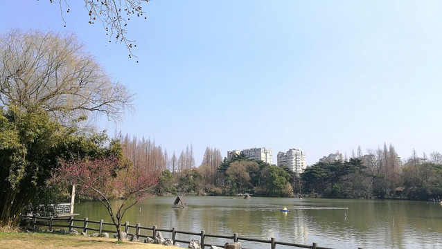 上海动物园 水禽湖