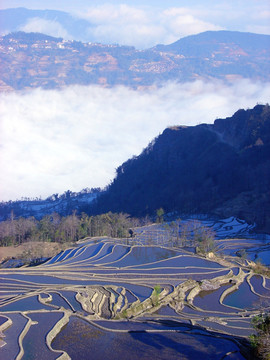 蓝色梯田