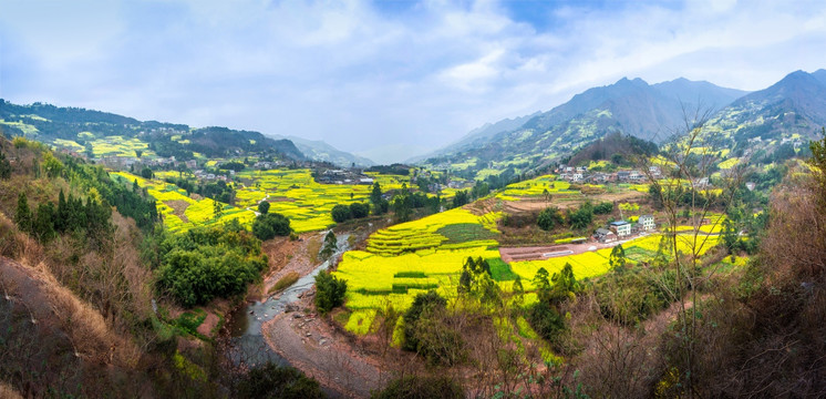 中都油菜花 高清全景大图