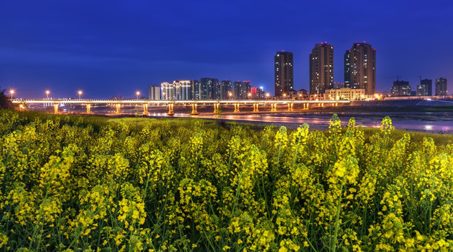 油菜花城市夜景