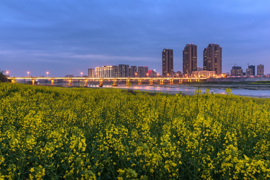 油菜花城市夜景