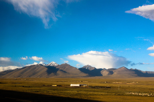 青藏线风景