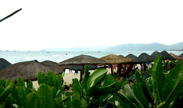 海滩 遮阳伞