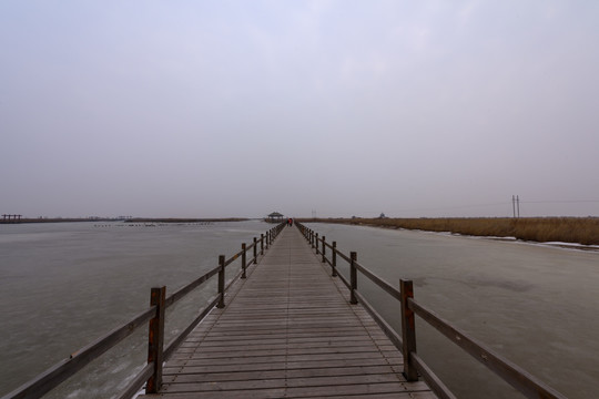 黄河入海口湿地
