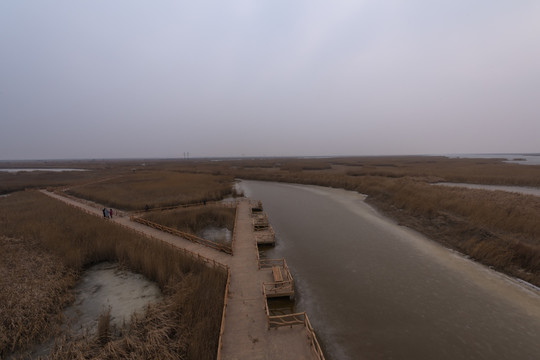 黄河三角洲湿地