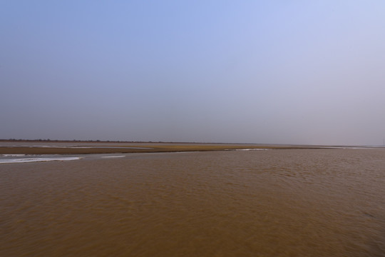 黄河三角洲湿地
