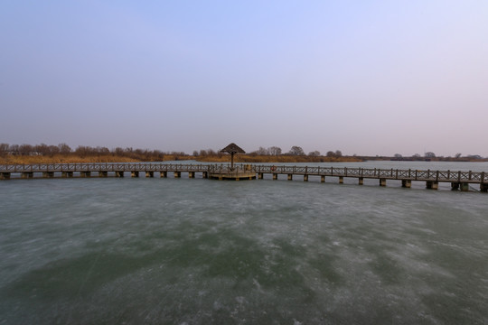 黄河入海口湿地