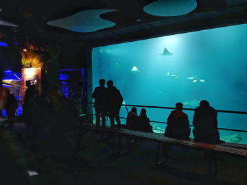 水族馆素材