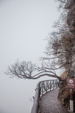 张家界风景