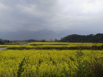 田园风光