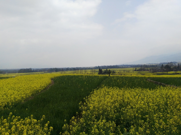 田园风光