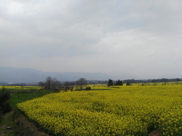 田园风光
