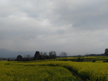 田园风光