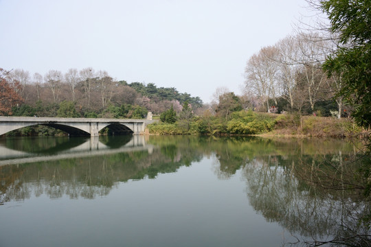 雨花台