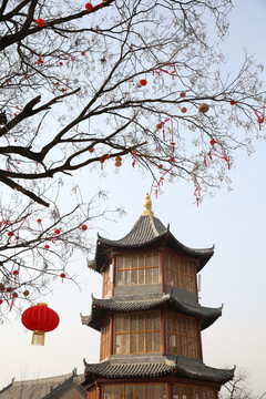 洛阳卫坡村