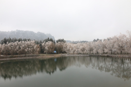 宣慰府