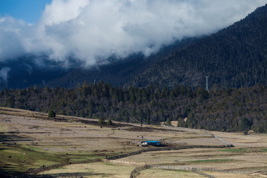 西藏的大农场