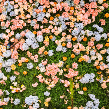 鲜花绿叶背景