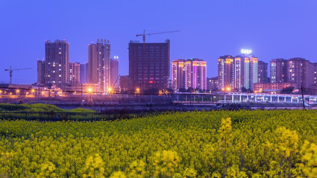 菜花城市夜景