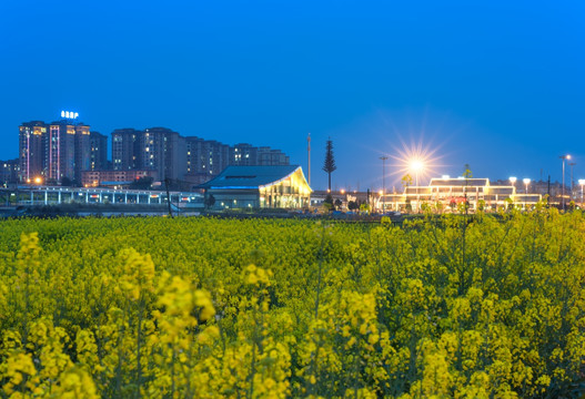 菜花城市夜景