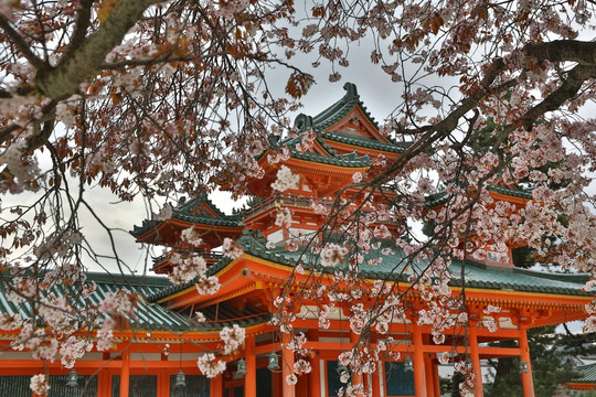 京都平安宫