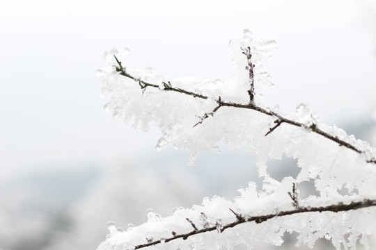 雪景