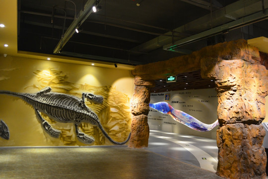 贵州古生物化石展