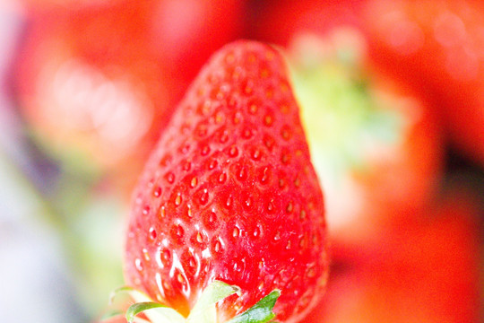 草莓 水果 高清 特写 甜品
